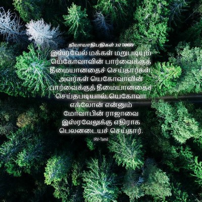 Picture 04 - நியாயாதிபதிகள் 3:12 TAMIRV - இஸ்ரவேல் மக்கள் - Bible Verse Picture