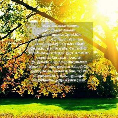 Picture 04 - நியாயாதிபதிகள் 3:15 TAMIRV - இஸ்ரவேல் மக்கள் - Bible Verse Picture