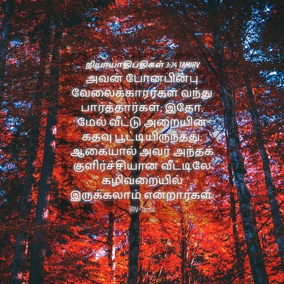 Picture 04 - நியாயாதிபதிகள் 3:24 TAMIRV - அவன் போனபின்பு - Bible Verse Picture
