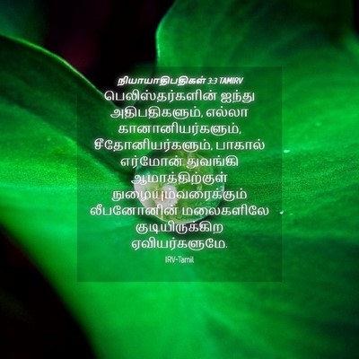 Picture 04 - நியாயாதிபதிகள் 3:3 TAMIRV - பெலிஸ்தர்களின் - Bible Verse Picture