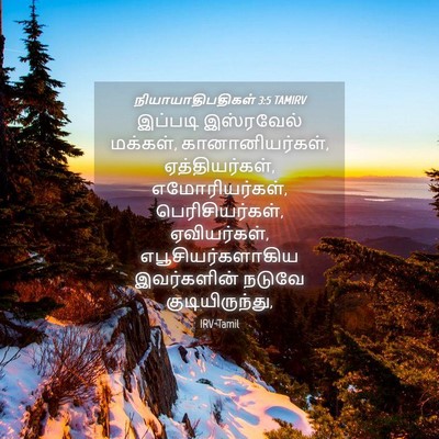 Picture 04 - நியாயாதிபதிகள் 3:5 TAMIRV - இப்படி இஸ்ரவேல் - Bible Verse Picture
