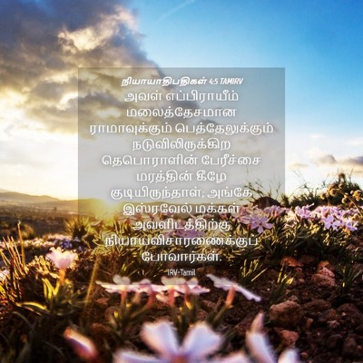 Picture 04 - நியாயாதிபதிகள் 4:5 TAMIRV - அவள் எப்பிராயீம் - Bible Verse Picture