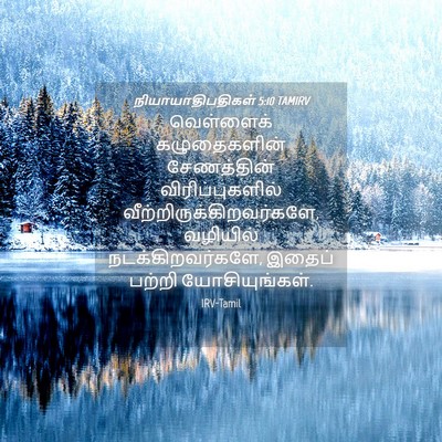 Picture 04 - நியாயாதிபதிகள் 5:10 TAMIRV - வெள்ளைக் - Bible Verse Picture
