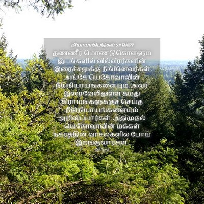 Picture 04 - நியாயாதிபதிகள் 5:11 TAMIRV - தண்ணீர் - Bible Verse Picture