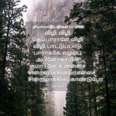 Picture 04 - நியாயாதிபதிகள் 5:12 TAMIRV - விழி, விழி, - Bible Verse Picture
