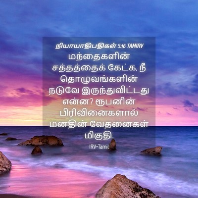 Picture 04 - நியாயாதிபதிகள் 5:16 TAMIRV - மந்தைகளின் - Bible Verse Picture