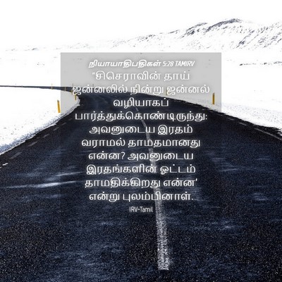Picture 04 - நியாயாதிபதிகள் 5:28 TAMIRV - “சிசெராவின் தாய் - Bible Verse Picture