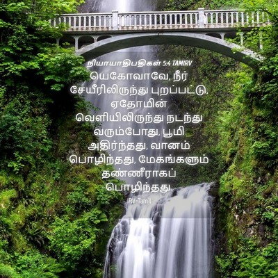 Picture 04 - நியாயாதிபதிகள் 5:4 TAMIRV - யெகோவாவே, நீர் - Bible Verse Picture