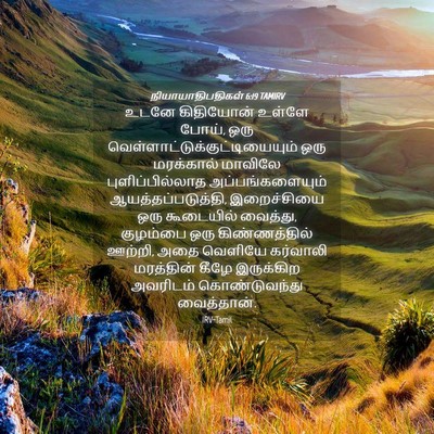 Picture 04 - நியாயாதிபதிகள் 6:19 TAMIRV - உடனே கிதியோன் - Bible Verse Picture