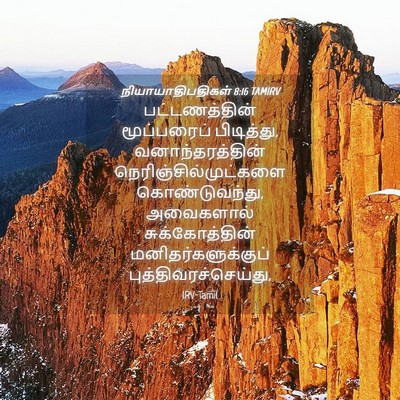 Picture 04 - நியாயாதிபதிகள் 8:16 TAMIRV - பட்டணத்தின் - Bible Verse Picture