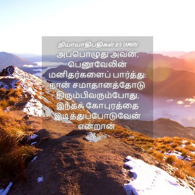 Picture 04 - நியாயாதிபதிகள் 8:9 TAMIRV - அப்பொழுது அவன், - Bible Verse Picture