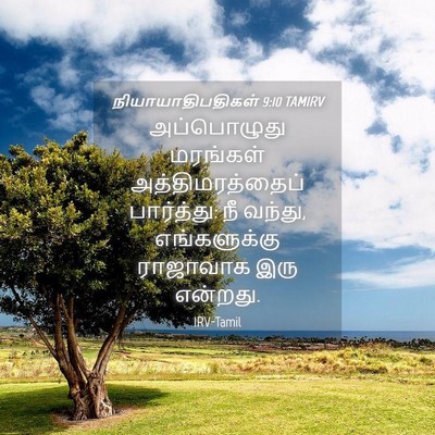 Picture 04 - நியாயாதிபதிகள் 9:10 TAMIRV - அப்பொழுது மரங்கள் - Bible Verse Picture