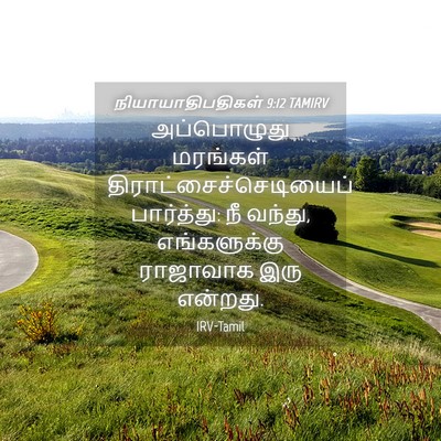 Picture 04 - நியாயாதிபதிகள் 9:12 TAMIRV - அப்பொழுது மரங்கள் - Bible Verse Picture