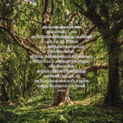 Picture 04 - நியாயாதிபதிகள் 9:20 TAMIRV - இல்லாவிட்டால் - Bible Verse Picture