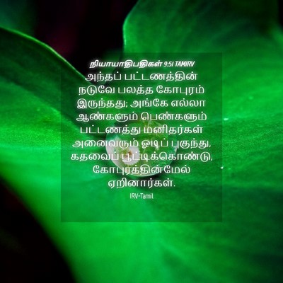 Picture 04 - நியாயாதிபதிகள் 9:51 TAMIRV - அந்தப் - Bible Verse Picture