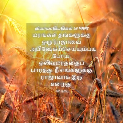 Picture 04 - நியாயாதிபதிகள் 9:8 TAMIRV - மரங்கள் - Bible Verse Picture
