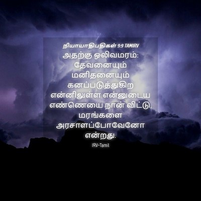 Picture 04 - நியாயாதிபதிகள் 9:9 TAMIRV - அதற்கு ஒலிவமரம்: - Bible Verse Picture