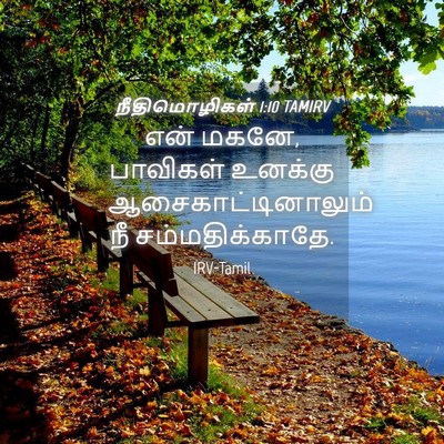 Picture 04 - நீதிமொழிகள் 1:10 TAMIRV - என் மகனே, பாவிகள் - Bible Verse Picture