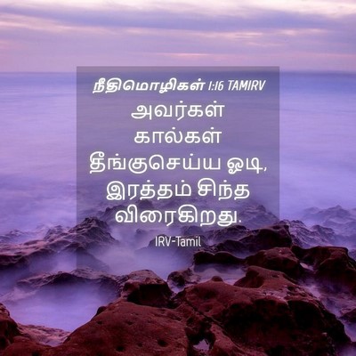 Picture 04 - நீதிமொழிகள் 1:16 TAMIRV - அவர்கள் கால்கள் - Bible Verse Picture