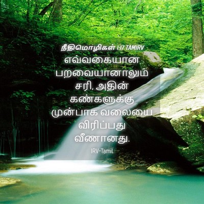Picture 04 - நீதிமொழிகள் 1:17 TAMIRV - எவ்வகையான - Bible Verse Picture