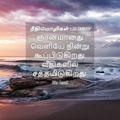 Picture 04 - நீதிமொழிகள் 1:20 TAMIRV - ஞானமானது வெளியே - Bible Verse Picture