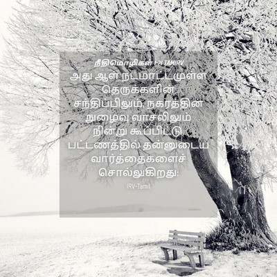 Picture 04 - நீதிமொழிகள் 1:21 TAMIRV - அது ஆள் - Bible Verse Picture