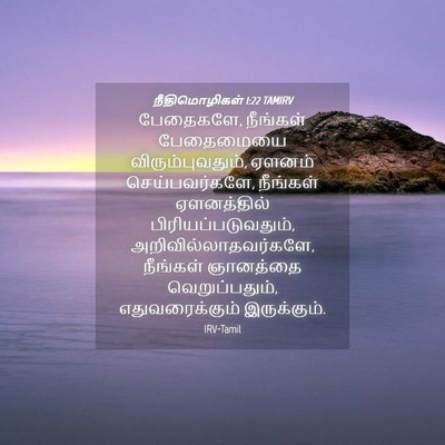 Picture 04 - நீதிமொழிகள் 1:22 TAMIRV - பேதைகளே, நீங்கள் - Bible Verse Picture