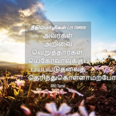 Picture 04 - நீதிமொழிகள் 1:29 TAMIRV - அவர்கள் அறிவை - Bible Verse Picture