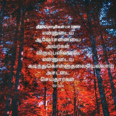 Picture 04 - நீதிமொழிகள் 1:30 TAMIRV - என்னுடைய ஆலோசனையை - Bible Verse Picture