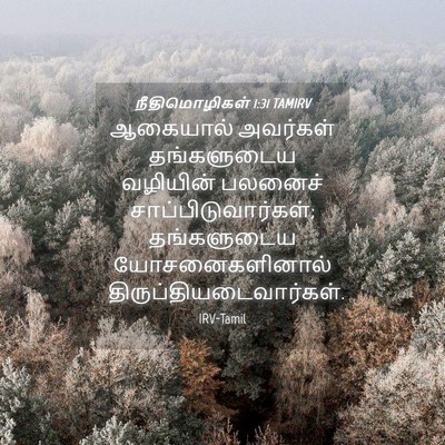 Picture 04 - நீதிமொழிகள் 1:31 TAMIRV - ஆகையால் அவர்கள் - Bible Verse Picture