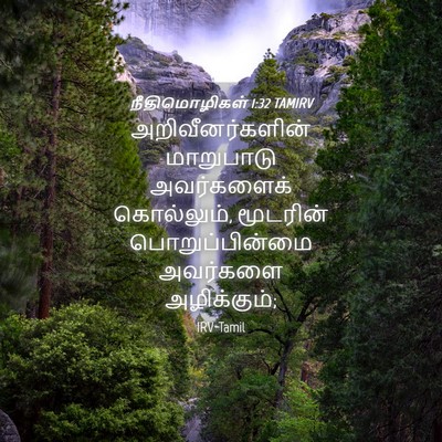 Picture 04 - நீதிமொழிகள் 1:32 TAMIRV - அறிவீனர்களின் - Bible Verse Picture
