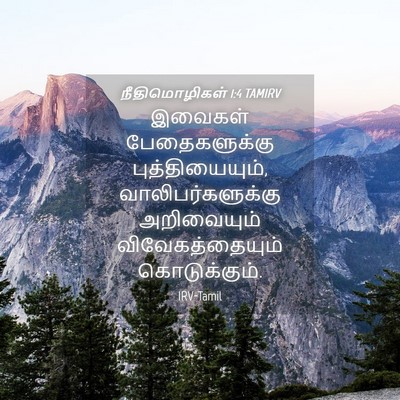 Picture 04 - நீதிமொழிகள் 1:4 TAMIRV - இவைகள் - Bible Verse Picture