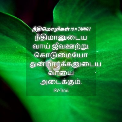 Picture 04 - நீதிமொழிகள் 10:11 TAMIRV - நீதிமானுடைய வாய் - Bible Verse Picture