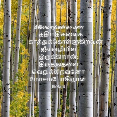 Picture 04 - நீதிமொழிகள் 10:17 TAMIRV - புத்திமதிகளைக் - Bible Verse Picture