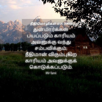 Picture 04 - நீதிமொழிகள் 10:24 TAMIRV - துன்மார்க்கன் - Bible Verse Picture