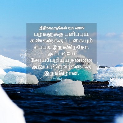 Picture 04 - நீதிமொழிகள் 10:26 TAMIRV - பற்களுக்கு - Bible Verse Picture