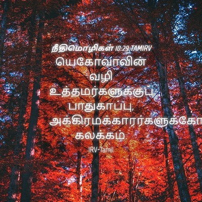 Picture 04 - நீதிமொழிகள் 10:29 TAMIRV - யெகோவாவின் வழி - Bible Verse Picture