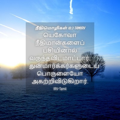 Picture 04 - நீதிமொழிகள் 10:3 TAMIRV - யெகோவா - Bible Verse Picture