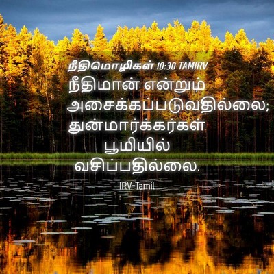 Picture 04 - நீதிமொழிகள் 10:30 TAMIRV - நீதிமான் என்றும் - Bible Verse Picture