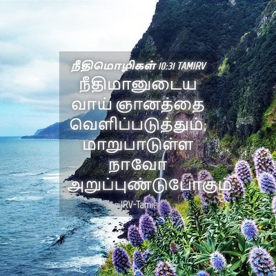 Picture 04 - நீதிமொழிகள் 10:31 TAMIRV - நீதிமானுடைய வாய் - Bible Verse Picture