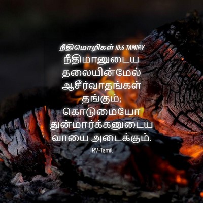 Picture 04 - நீதிமொழிகள் 10:6 TAMIRV - நீதிமானுடைய - Bible Verse Picture