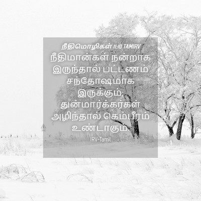Picture 04 - நீதிமொழிகள் 11:10 TAMIRV - நீதிமான்கள் - Bible Verse Picture