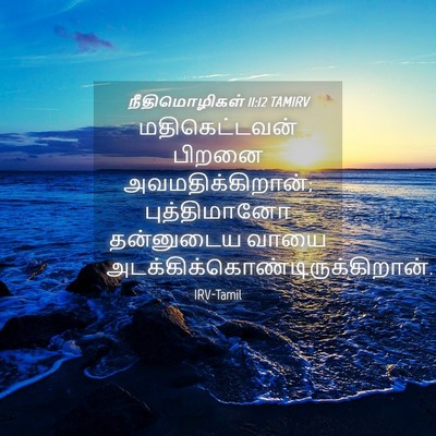 Picture 04 - நீதிமொழிகள் 11:12 TAMIRV - மதிகெட்டவன் பிறனை - Bible Verse Picture