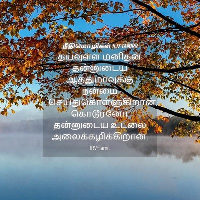 Picture 04 - நீதிமொழிகள் 11:17 TAMIRV - தயவுள்ள மனிதன் - Bible Verse Picture