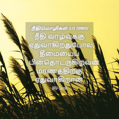 Picture 04 - நீதிமொழிகள் 11:19 TAMIRV - நீதி வாழ்வுக்கு - Bible Verse Picture