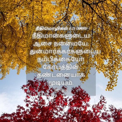 Picture 04 - நீதிமொழிகள் 11:23 TAMIRV - நீதிமான்களுடைய - Bible Verse Picture