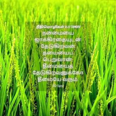 Picture 04 - நீதிமொழிகள் 11:27 TAMIRV - நன்மையை - Bible Verse Picture