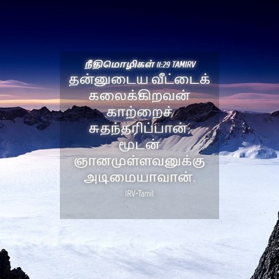 Picture 04 - நீதிமொழிகள் 11:29 TAMIRV - தன்னுடைய வீட்டைக் - Bible Verse Picture