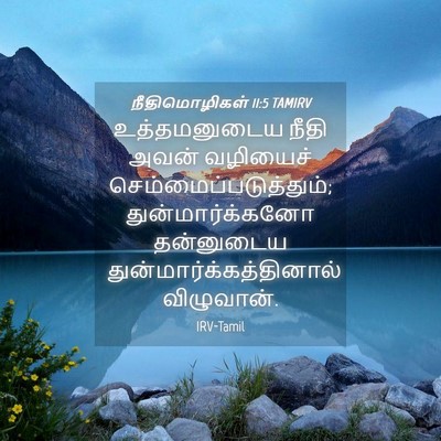Picture 04 - நீதிமொழிகள் 11:5 TAMIRV - உத்தமனுடைய நீதி - Bible Verse Picture