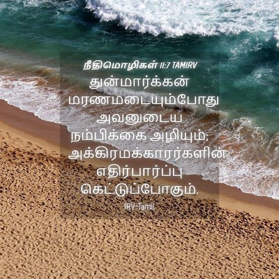 Picture 04 - நீதிமொழிகள் 11:7 TAMIRV - துன்மார்க்கன் - Bible Verse Picture